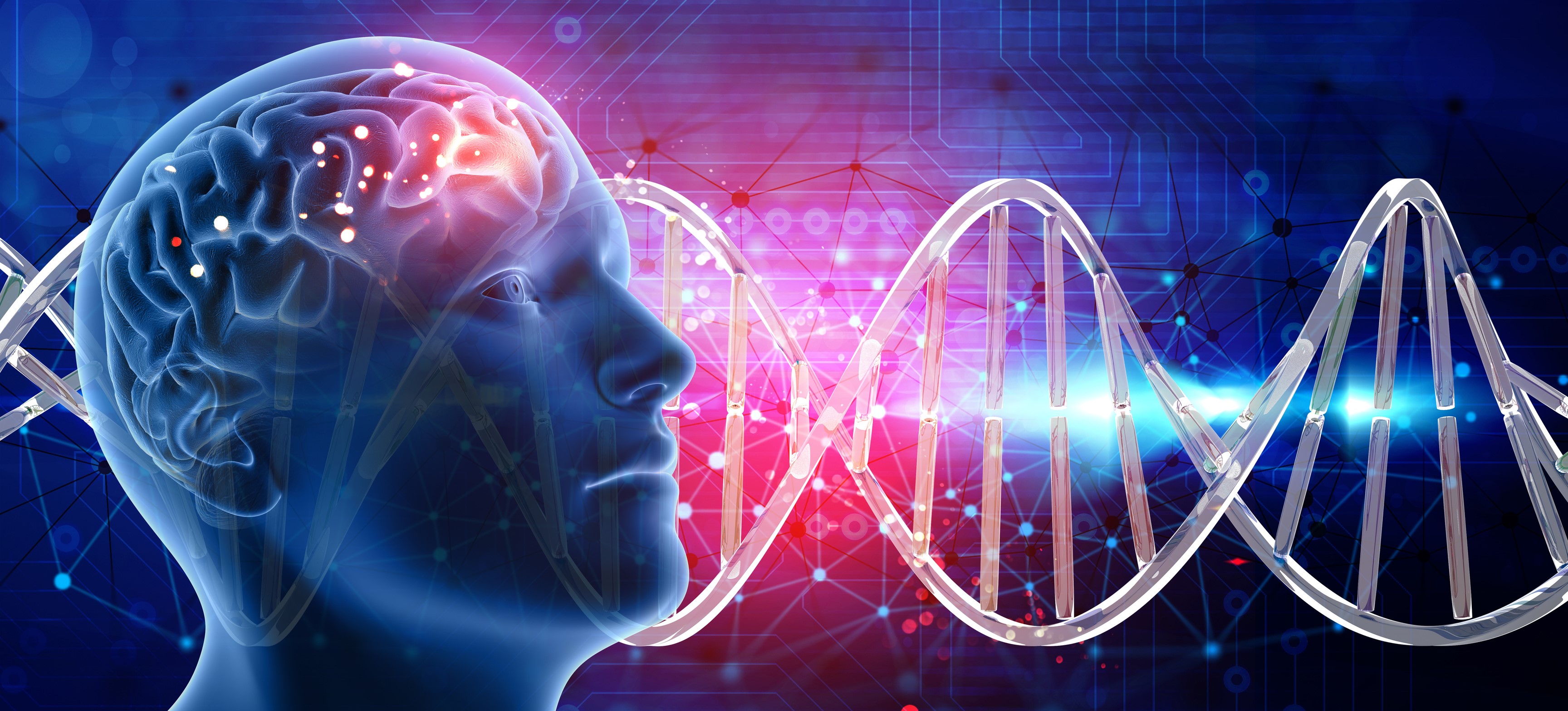 Brainwave. Подсознание человека. Разум. Интеллект человека. Мозг ДНК.