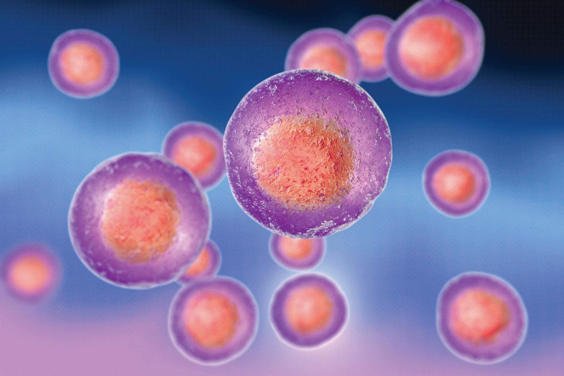 1st Annual Buck Institute Reproductive Aging Summit